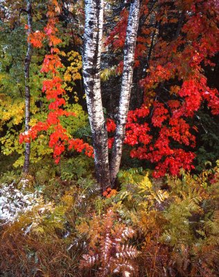 Taqaumenon Falls SP,, Michigan UP