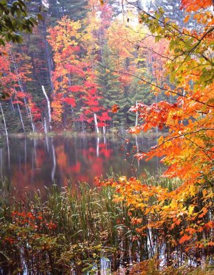 Hiawatha National Forest, Michigan UP