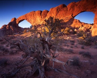 South Window, Arches NP