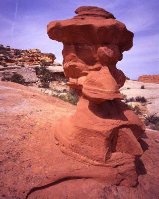 Cohab Canyon