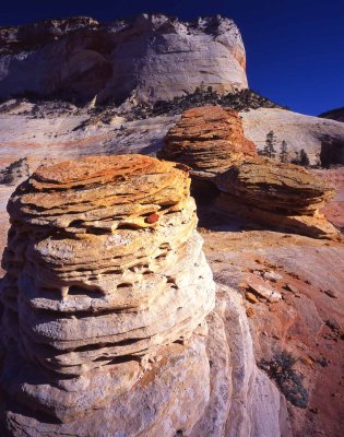 42 Beehives at East Entrance