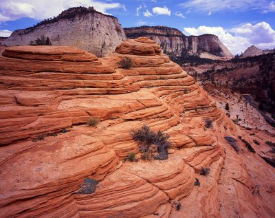 48 High Above East Canyon