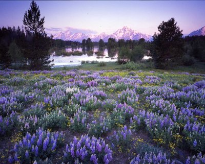 18 Grand Teton National Park