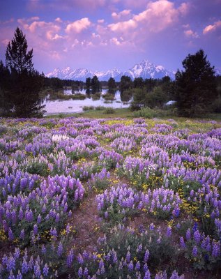 19 Grand Teton National Park