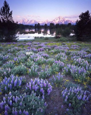 20 Grand Teton National Park