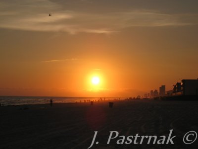 IMG_0117.jpg