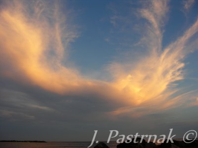 Swan cloud.jpg