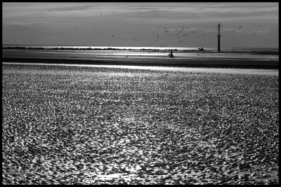 Sea, Sand and Sun : Trouville (France) - 2006 Black & White