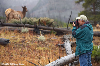Charles Photographing Elk 10_07_08.jpg