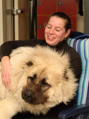 Lap Dog