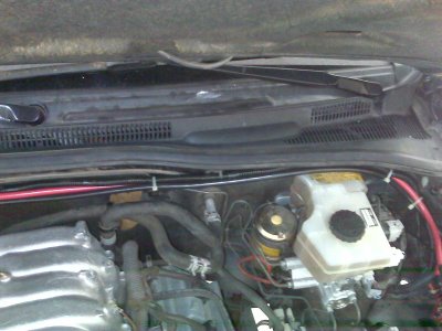 IMG00149.jpg