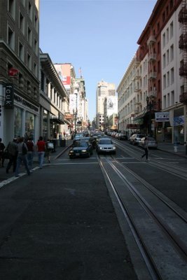 IMG_7276 (Large).JPG