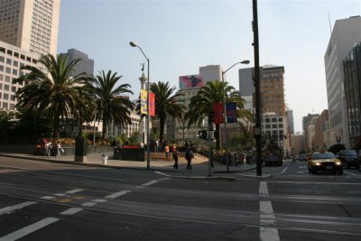 IMG_7282 (Large).JPG