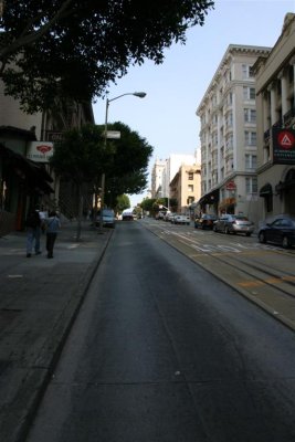 IMG_7283 (Large).JPG