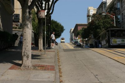 IMG_7284 (Large).JPG