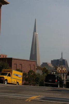 IMG_7286 (Large).JPG