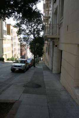 IMG_7287 (Large).JPG