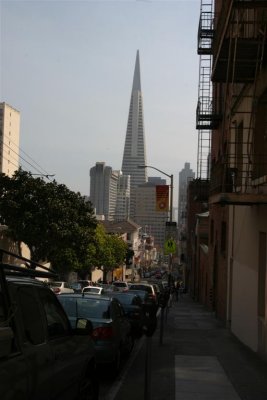 IMG_7290 (Large).JPG