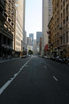 IMG_7307 (Large).JPG