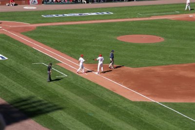 IMG_7382 (Large).JPG
