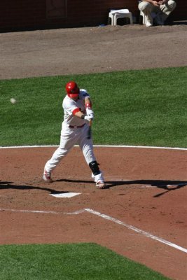 IMG_7395 (Large).JPG