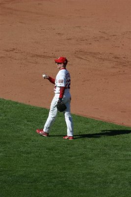IMG_7418 (Large).JPG