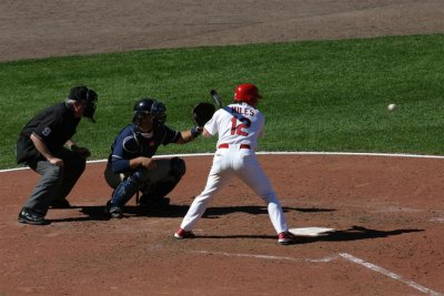 IMG_7431 (Large).JPG