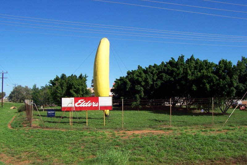 The big banana in Carnarvon
