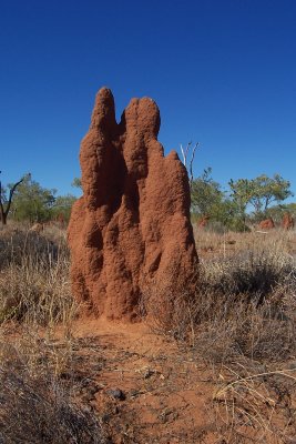 Western Australia