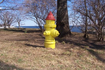 Water hydrant at The Bronx in New York