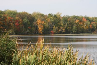 Rice Lake NWR---September 2008