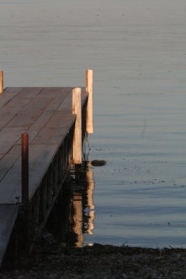 Dock And Reflection