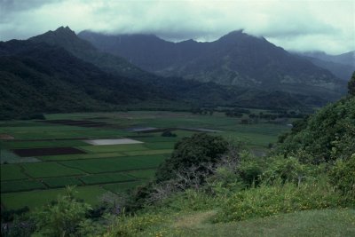 Kauai