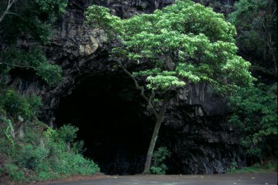 Kauai