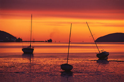 Silhouettes at sunrise, Lyttelton Harbour, Canterbury, New Zealand