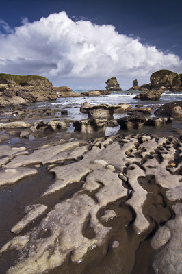 Woodpecker Bay, Westland, New Zealand