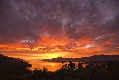 _IGP0233 Sunrise Lyttelton Harbour copy.jpg