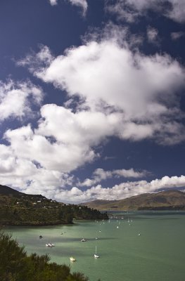 _K205448 Lyttelton Harbour from Pony Point copy.jpg