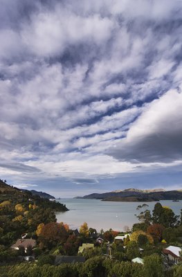 _K206226 Autumn view from Governors Bay Canterbury copy.jpg