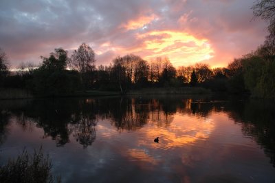 Sunrise at Lake Stadium II