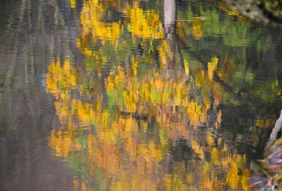 Fall-color-impression-.jpg