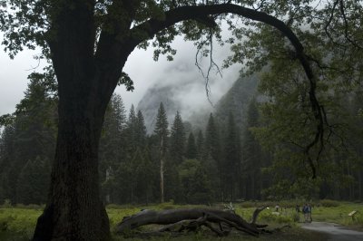 Yosemite-valley view DSC_0458.jpg