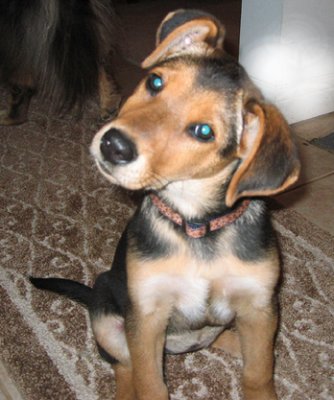 lola1.jpg