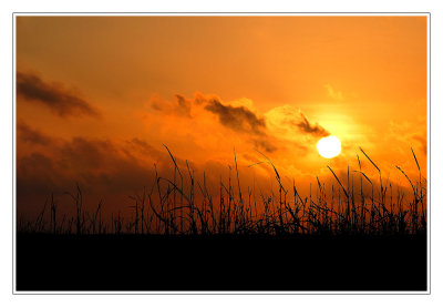 Sunrise in the Marsh I