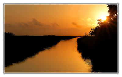 Sunrise in the Marsh II