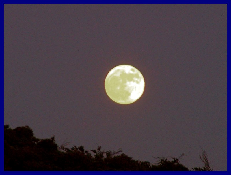 summer  moon in the City.jpg