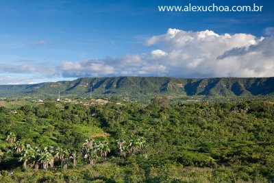 Chapada do Araripe, Crato, Ceara_4939.jpg