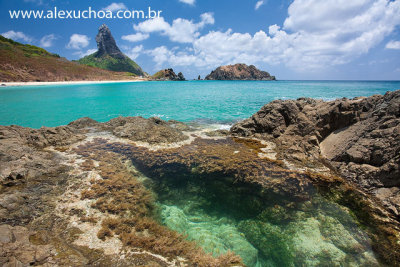 Praia do Cachorro, Fernando de Noronha, Pernambuco 9060 090916_blue.jpg