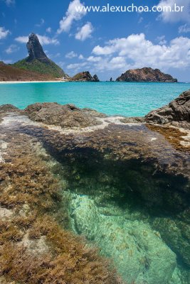 Praia do Cachorro, Fernando de Noronha, Pernambuco 9070 090916_blue.jpg