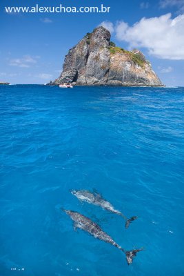Passeio de Barco, Fernando de Noronha, Pernambuco 8655 090915.jpg